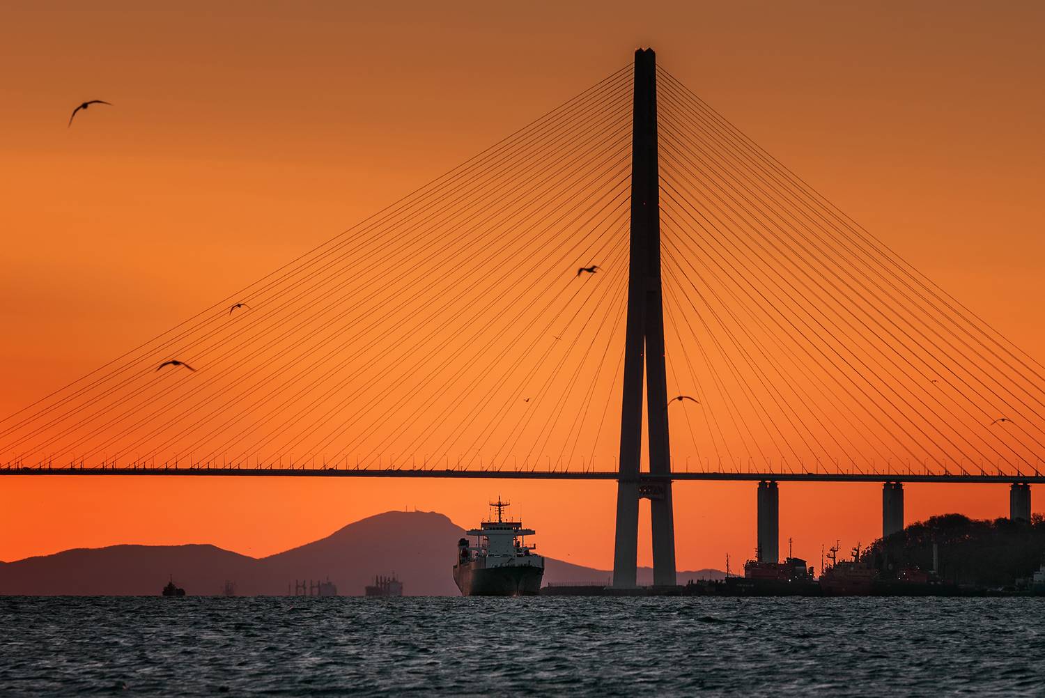 Рассвет во Владивостоке (Русский мост). Автор: Рудаков Глеб , Рудаков Глеб