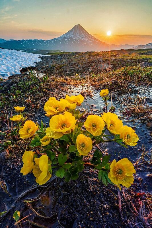 камчатка photo preview