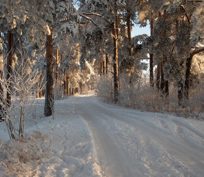Морозная сказка в Заречном парке. photo preview