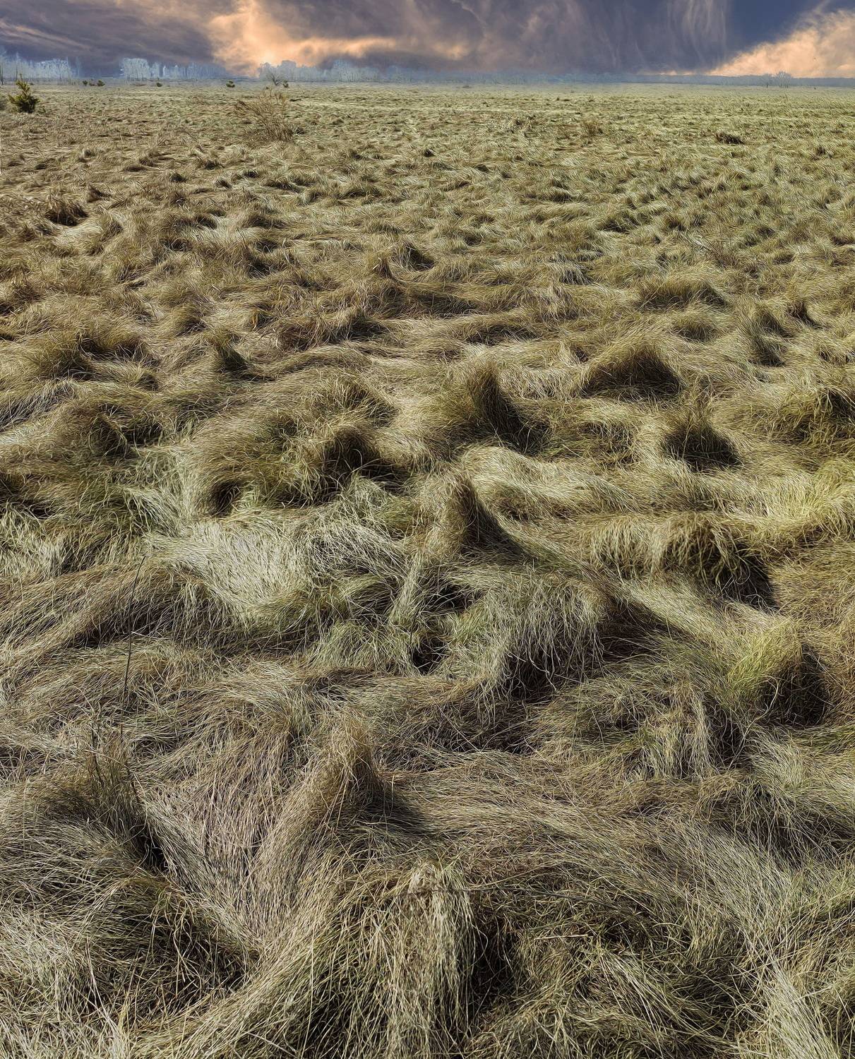 Апрель. Автор: Борис Бусыгин , Борис Бусыгин