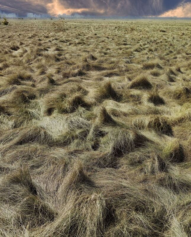 Апрельphoto preview