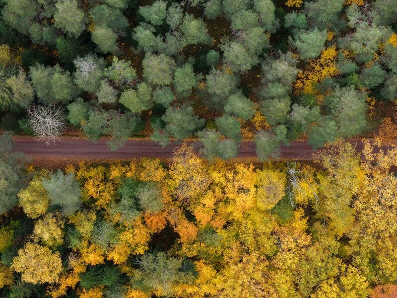 Валаам Валаамские фактурыphoto preview