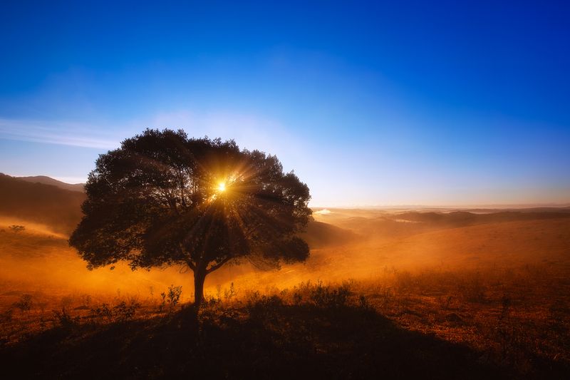 #landscape #nature #sunrise #sunset First Lightphoto preview