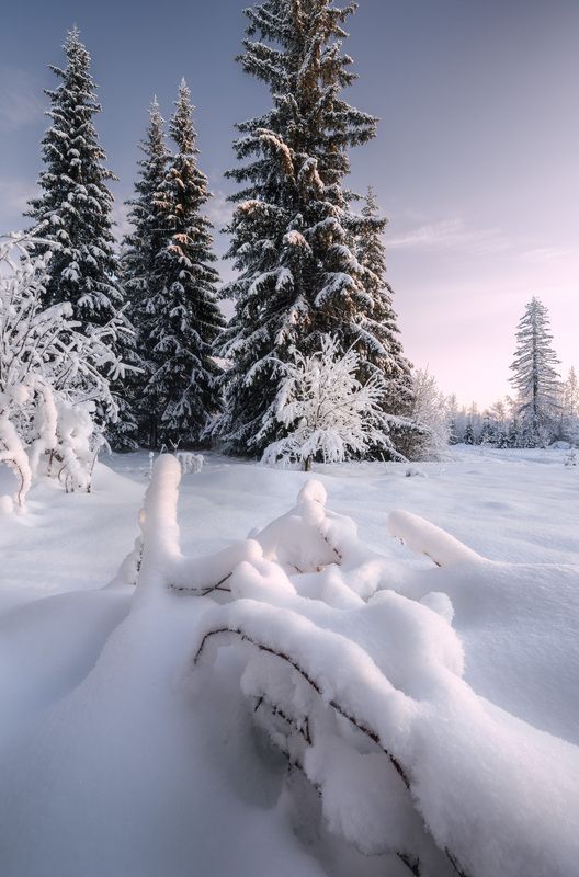 С-нежностьphoto preview