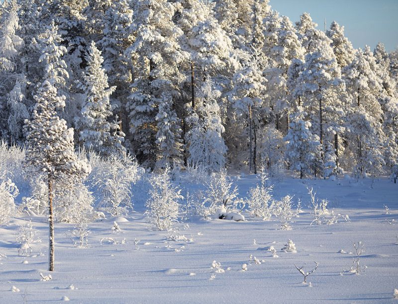 пейзаж, заполярье, север, природа, красота, landscape, north, nature, beautiful Снежный рисунок северной зимыphoto preview