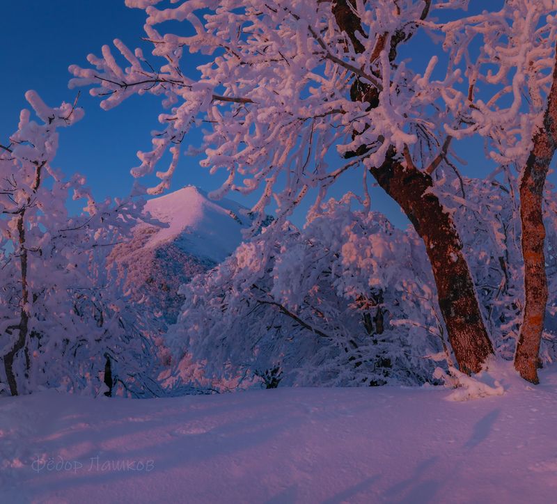 ставропольский край, ставрополье, кавминводы, закат, закатное, иней, зимний, синий, розовый, бештау, в снегу, снежное, гора, лес, дерево, Розовые светphoto preview