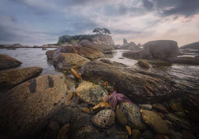 Орлинка, Приморье фото превью