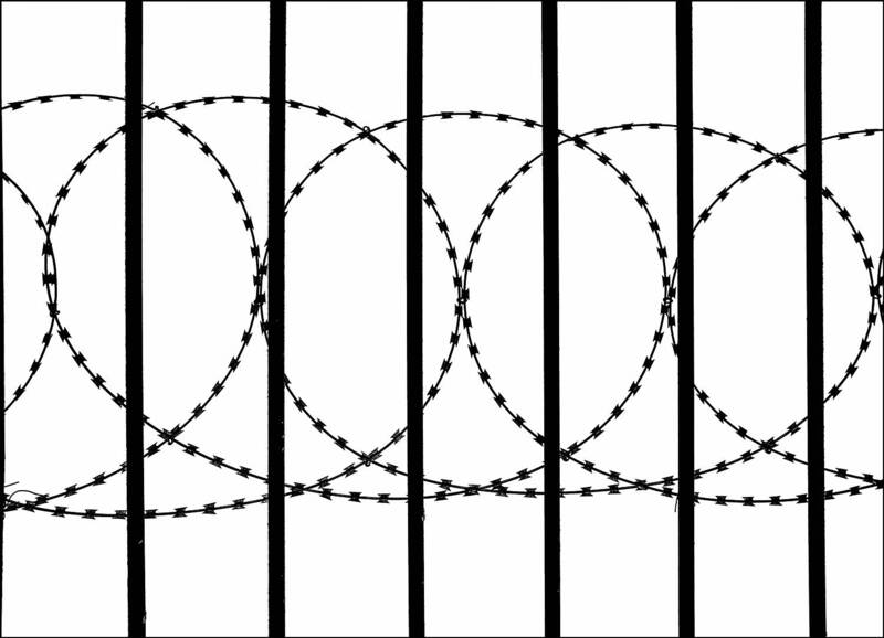 Низяphoto preview