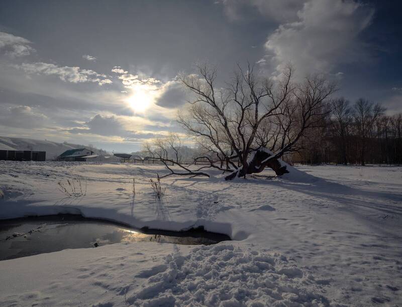 зима в Ярлыкаповоphoto preview