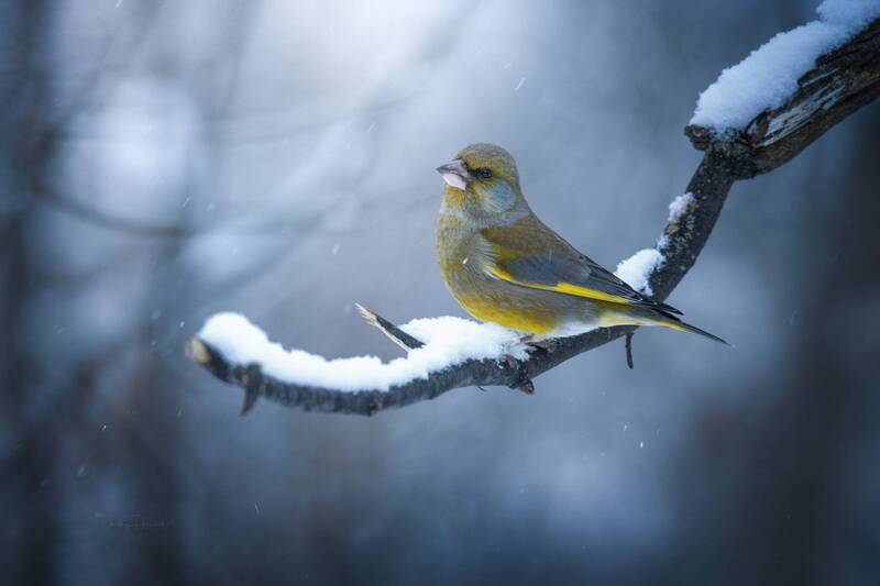 На подиумеphoto preview