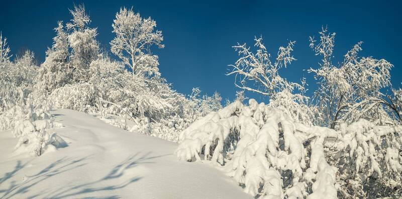 And Winter Came ...photo preview