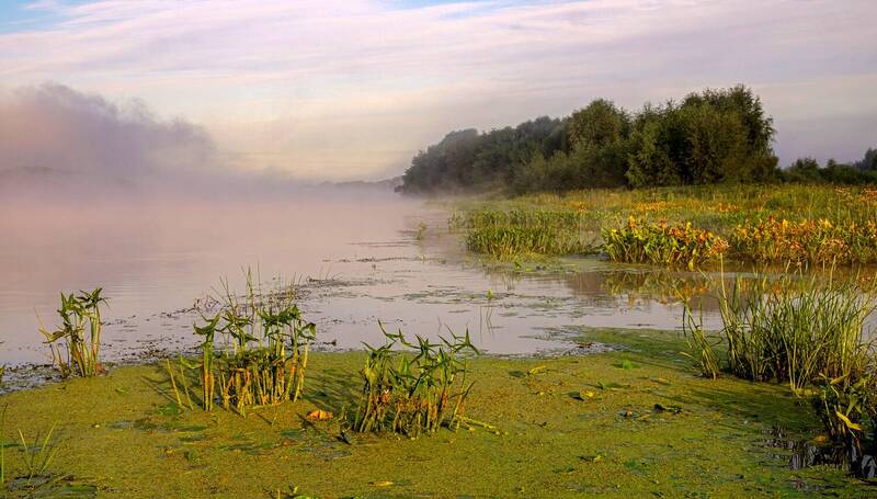 лето река рассвет туман облака природа пейзаж Ока.photo preview