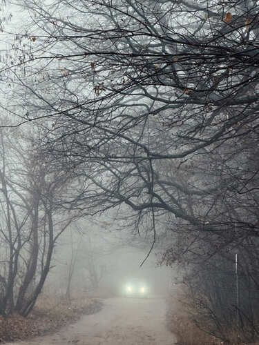 Ностальгия по природе