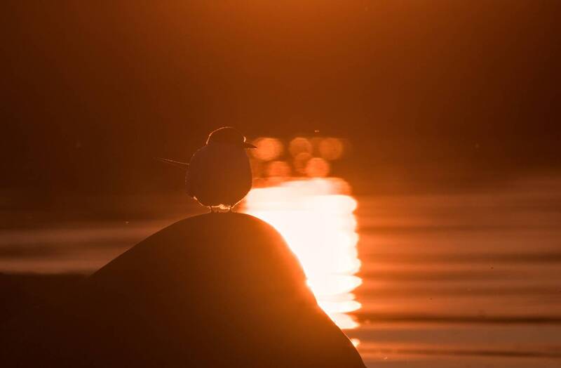 На закатеphoto preview