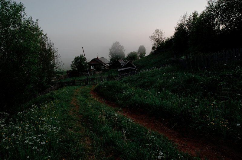 туманным утромphoto preview