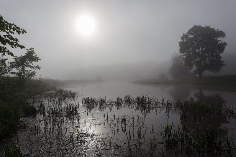Ещё не проснулись тени... фото превью