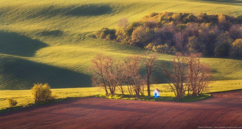 пейзаж, поля, часовня, моравия, чехия, закат, поле, телевик, волны, холмы, дерево Известная часовня в Южной Моравии photo preview