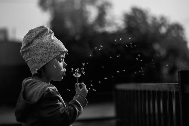 Загадать желаниеphoto preview