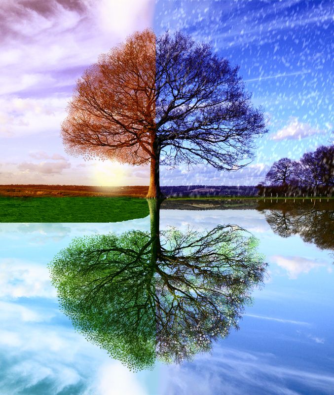 Beautiful, Beauty, Colors, Landscape, Nikon, Photo, Tree, Trees Treephoto preview