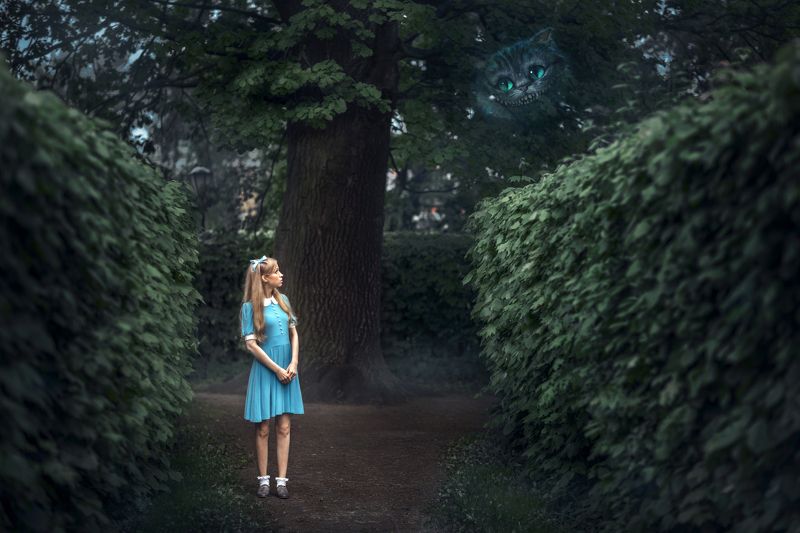 жанр Чеширский котphoto preview