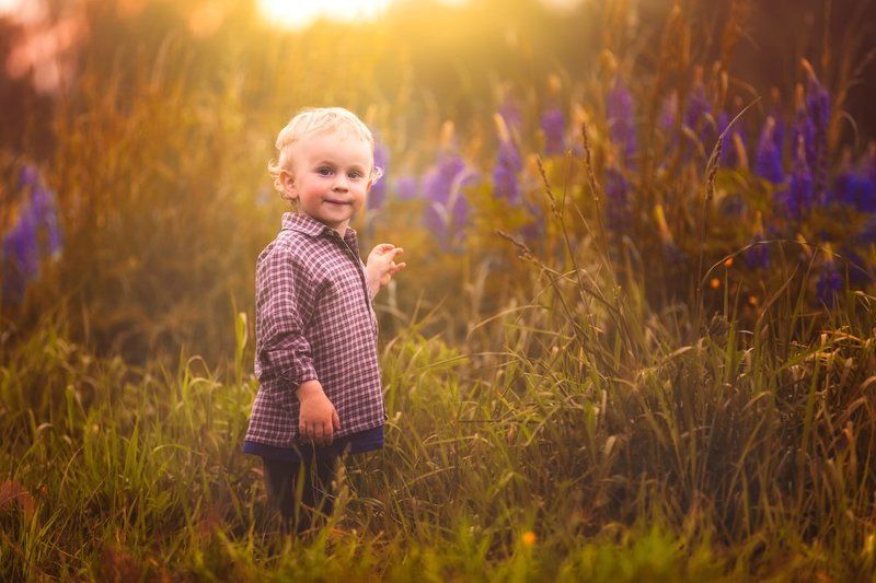 child, children, portrait, boy, nature, grass, meadow, flowers, sun ***photo preview