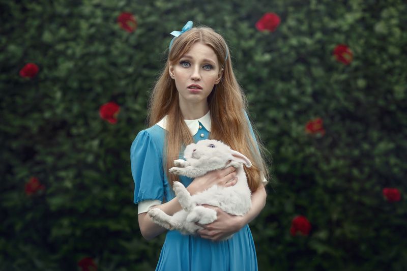 жанр Розовый садphoto preview