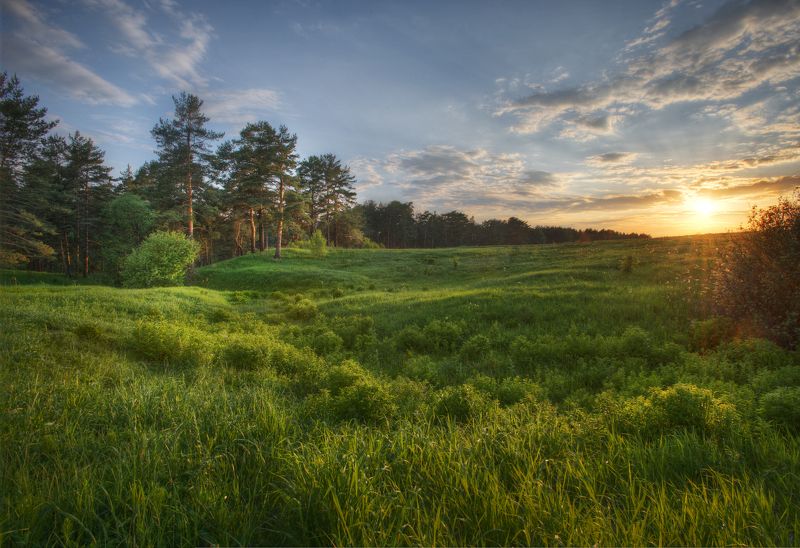 Захаркиноphoto preview