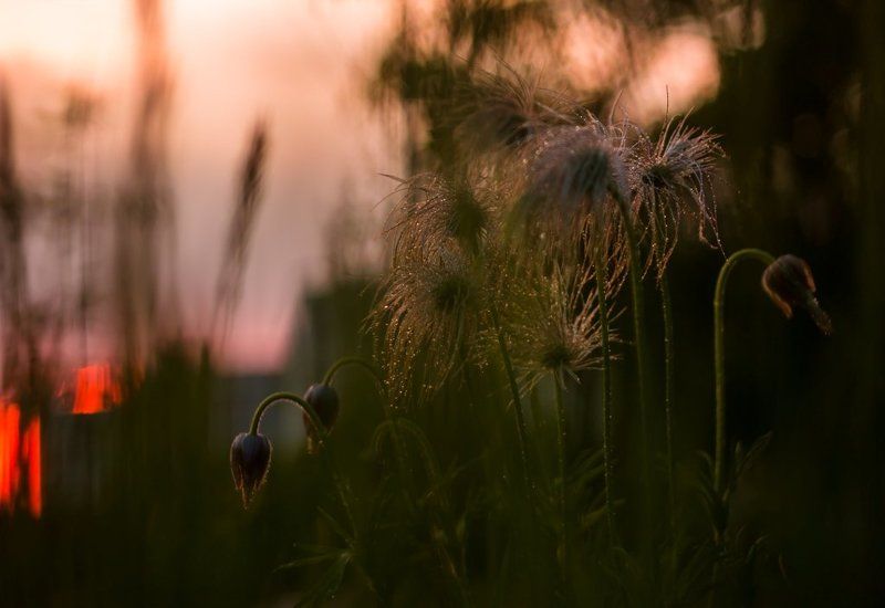 Жаркое солнце больших городов...photo preview