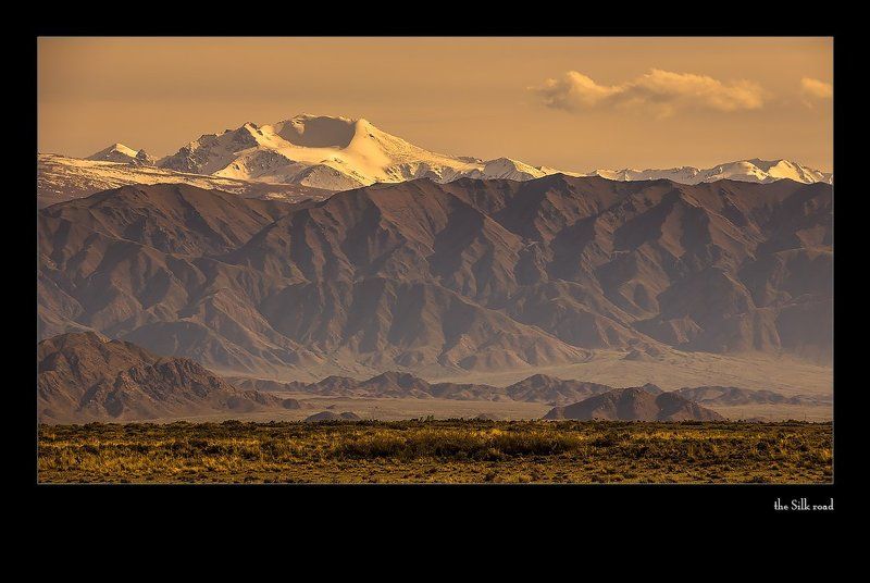 взволнованные размышления о переносе массphoto preview