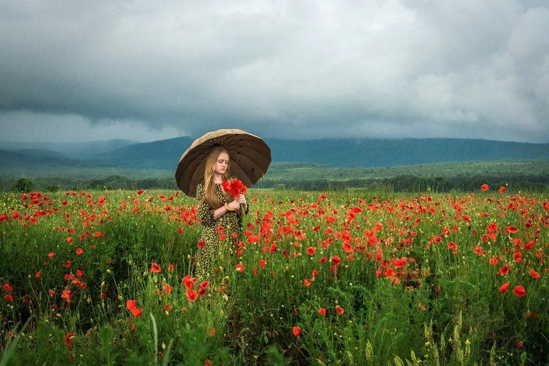 в маках во время дождяphoto preview