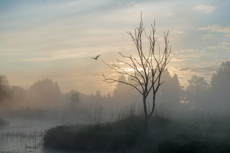 Утро на Истреphoto preview