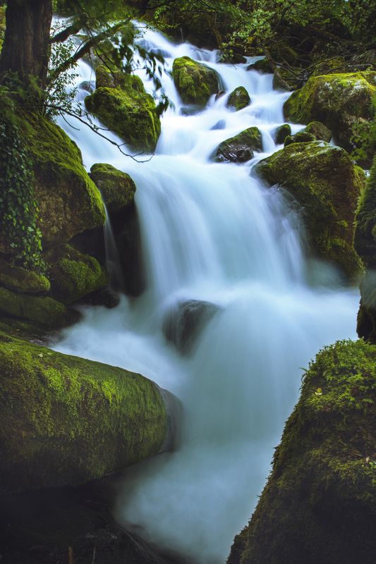 Мистическая Рачхаphoto preview