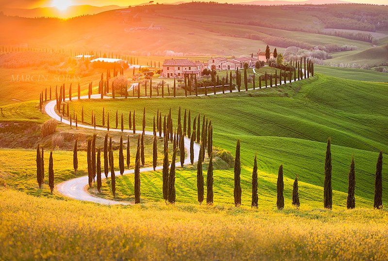 Evening Baccolenophoto preview