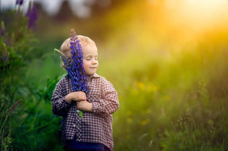 child, children, portrait, boy, nature, grass, meadow, flowers, sun Lupinusphoto preview