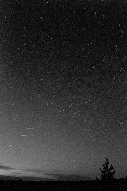 В движенииphoto preview