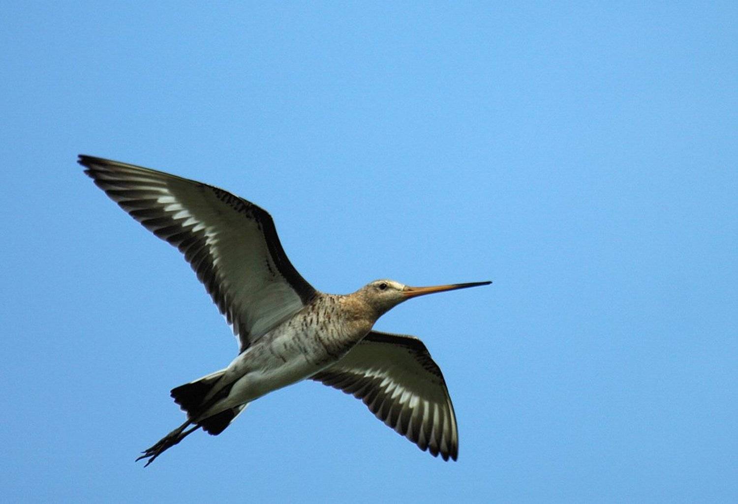 , Сергей Таланов