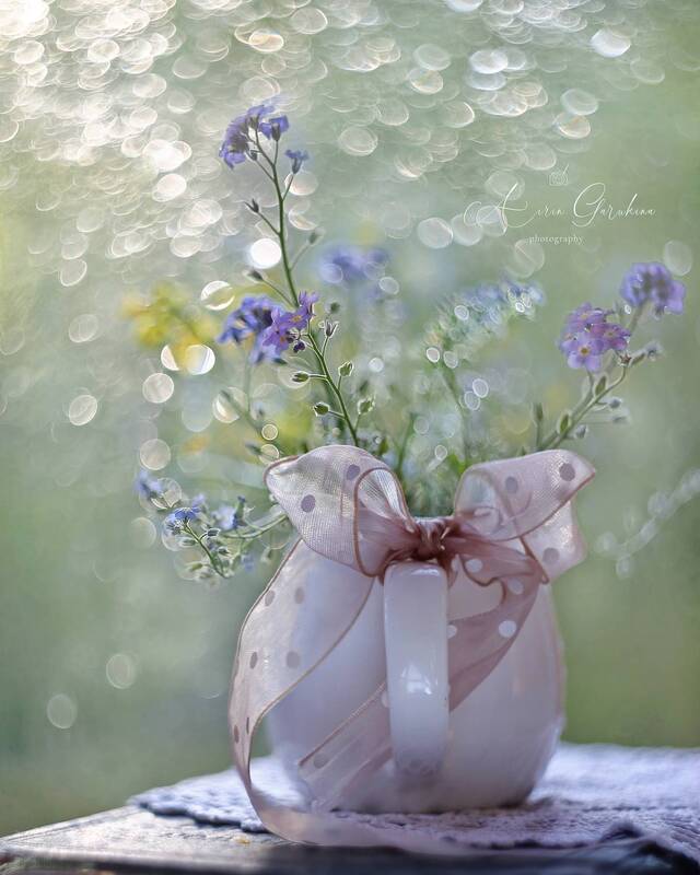 боке, объектив гелиос 44-3, беларусь, ирина горюкина, волшебство,bokeh art Да прибудет с нами СВЕТ!photo preview