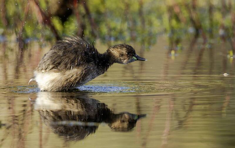 На старте ...photo preview