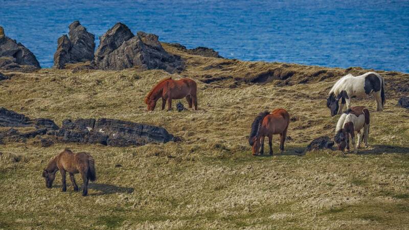На фоне моряphoto preview