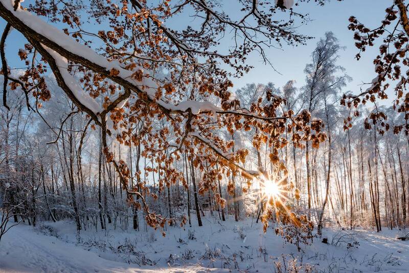 Огонекphoto preview