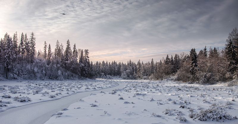 Московская обл photo preview