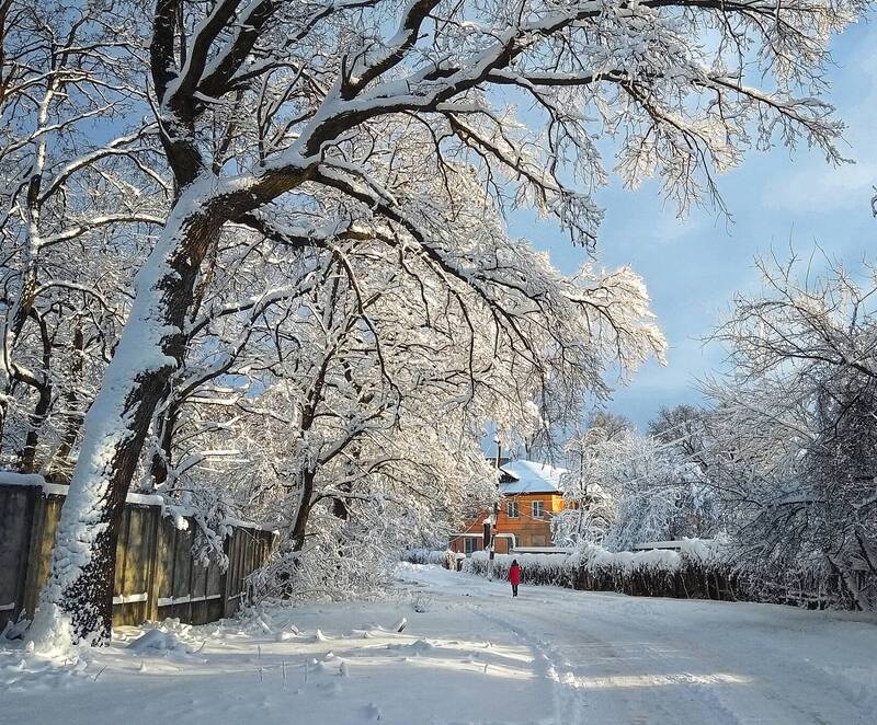 По скрипучей дороге фото превью