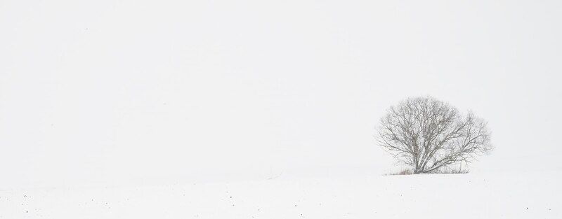 Зимняя идиллияphoto preview