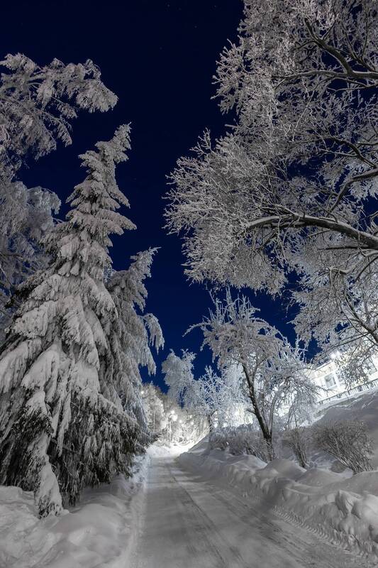 саратов, природа, октябрьское ущелье Морозный вечер в Октябрьском ущельеphoto preview