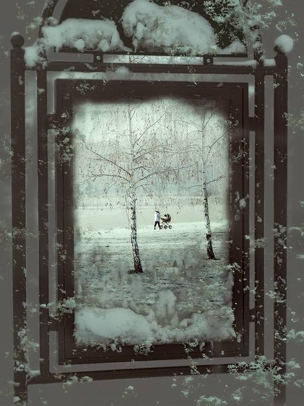 Окно в зимуphoto preview