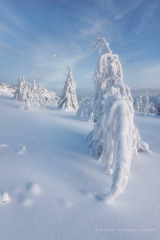 Погонщик на слонеphoto preview