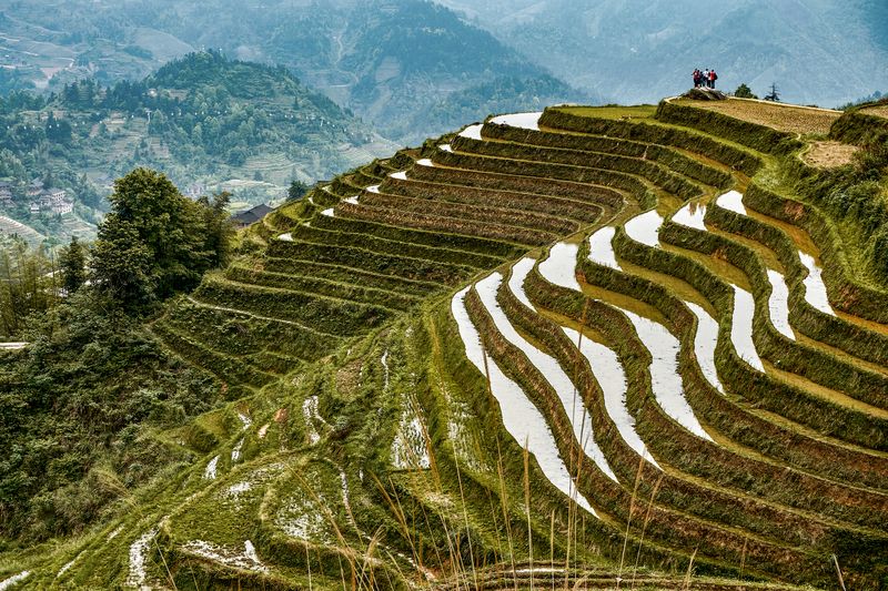 Рисовые террасы Лунцзиphoto preview