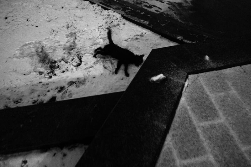 стрит, стритфото, уличная фотография photo preview