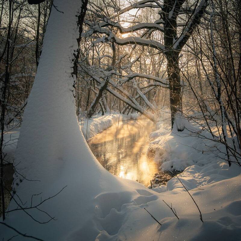 kuzminki, moscou, moscow, russia, hoar-frost, nature, park, river, snow, steam, water, winter, кузьминки, москва, пономарка река, россия, чурилиха река, вода, зима, иней, пар, парк, погода, природа, река, снег, солнечно, sunny На солнечной речкеphoto preview