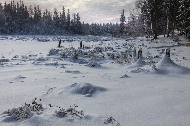 Зима пришла...photo preview